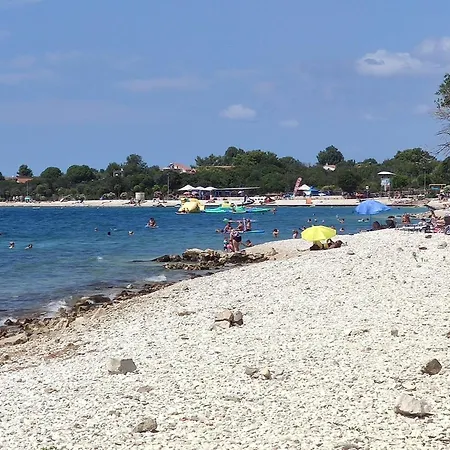 Villa-riba - Dorade *